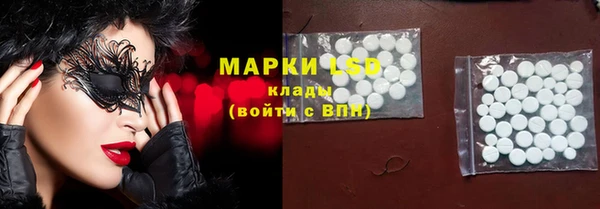 spice Алзамай
