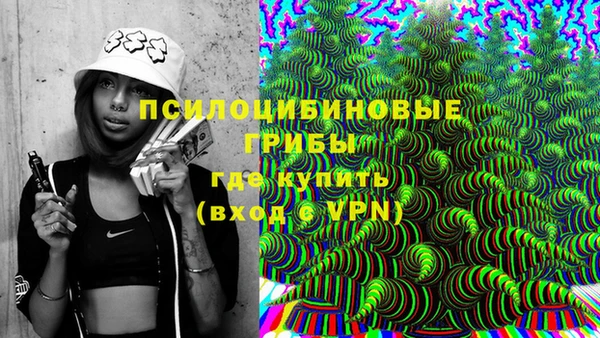 хмурый Алексеевка
