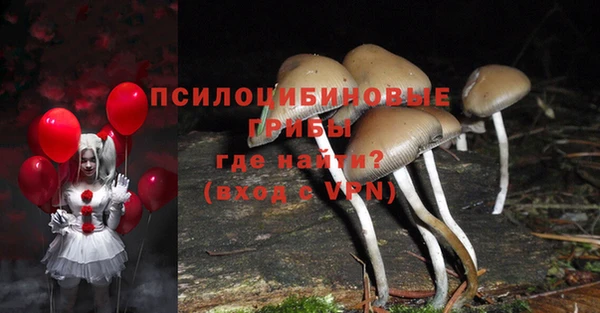 хмурый Алексеевка