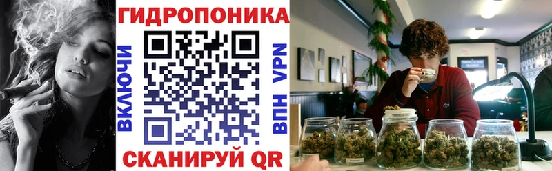 гидра   где купить   Порхов  Марихуана SATIVA & INDICA 